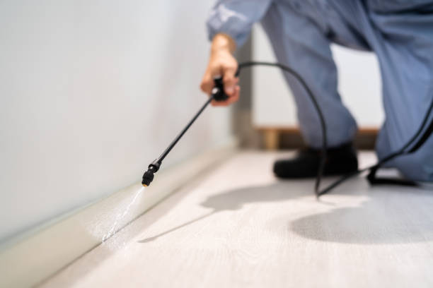 Licensed Mosquito Control service in Augusta, ME - Nex Pest Control