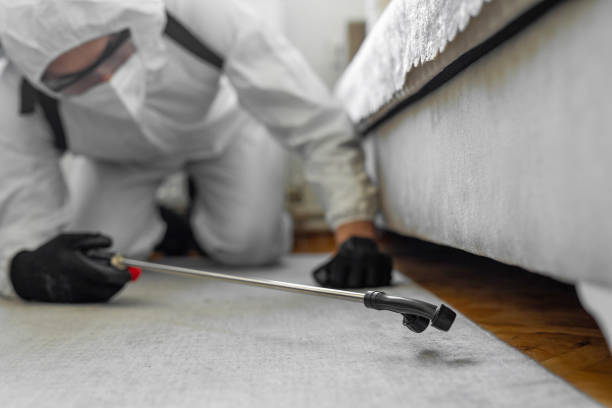 Professional Mosquito Control technician working in Augusta, ME