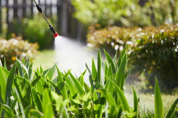 24/7 Emergency Mosquito Control experts in Augusta, ME