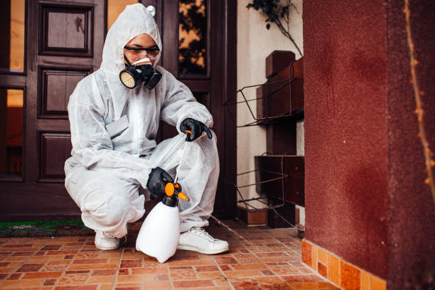 Reliable Mosquito Control contractor in Augusta, ME by Nex Pest Control