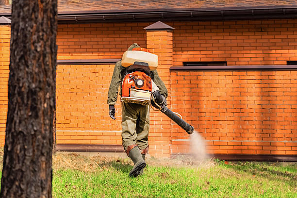 Trusted Cockroach Control service in Augusta, ME - Nex Pest Control